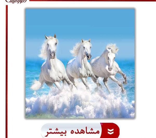 عکس اسب های خیلی زیبا