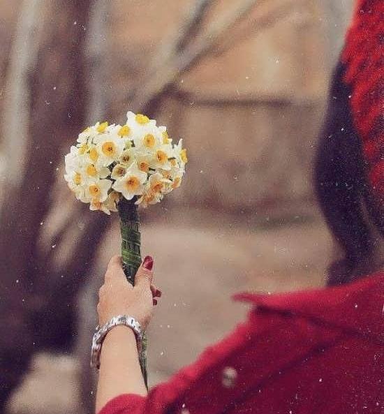 عکس گل دست دختر برای پروفایل