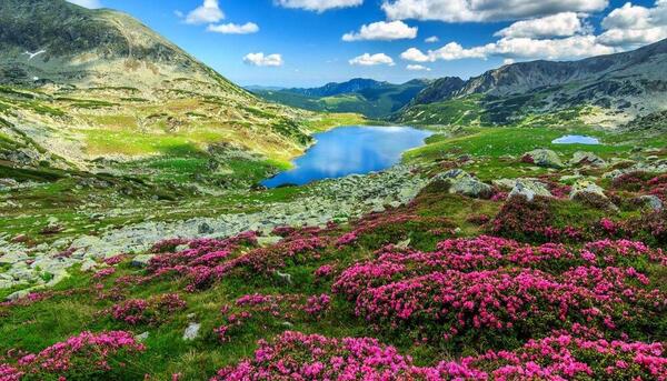عکس طبیعت بهاری در ایران