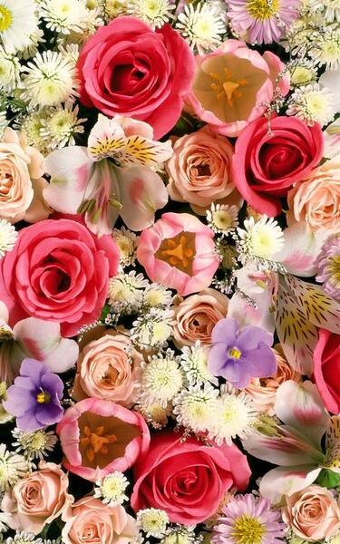 عکس گل عاشقانه برای تصویر زمینه