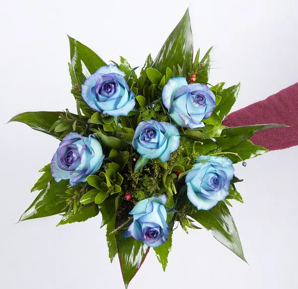 عکس گل رز سبز زیبا