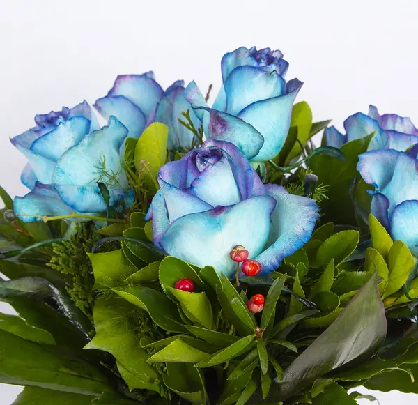 عکس گل رز سبز زیبا