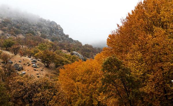 عکسهایی از طبیعت یاسوج