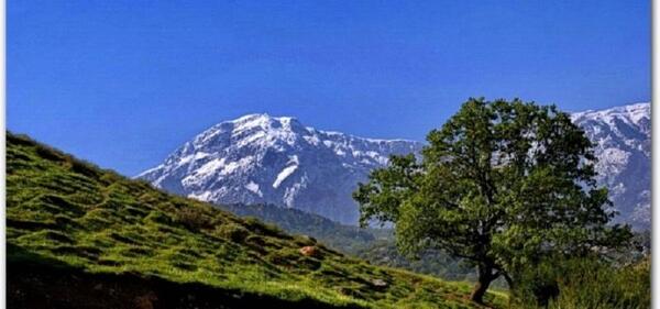 عکسهایی از طبیعت یاسوج