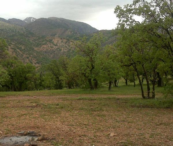 عکسهایی از طبیعت یاسوج