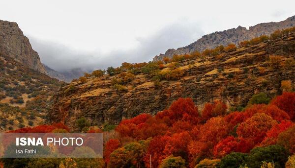 عکسهایی از طبیعت یاسوج
