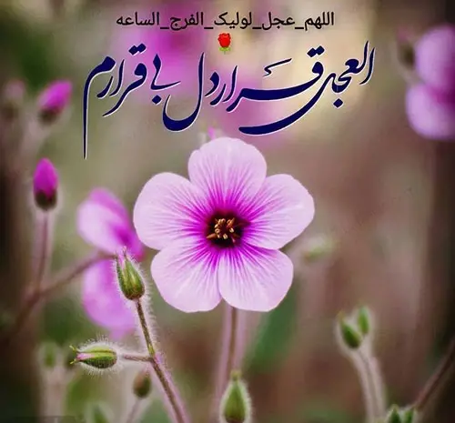 عکس تولد امام زمان برای پروفایل