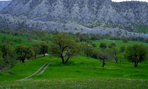 عکس های زیبا از طبیعت ایلام