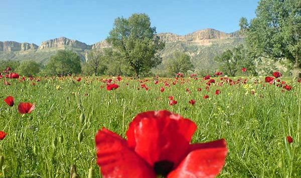 عکس های زیبا از طبیعت ایلام