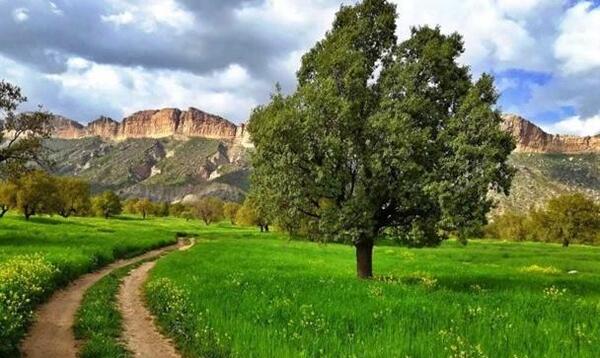 عکس های زیبا از طبیعت ایلام