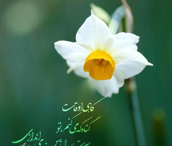 عکس پروفایل امام زمان عج الله