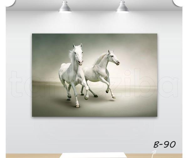عکس اسب دونده در طبیعت