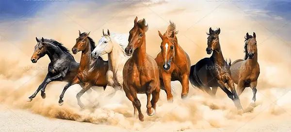 عکس اسب دونده در طبیعت