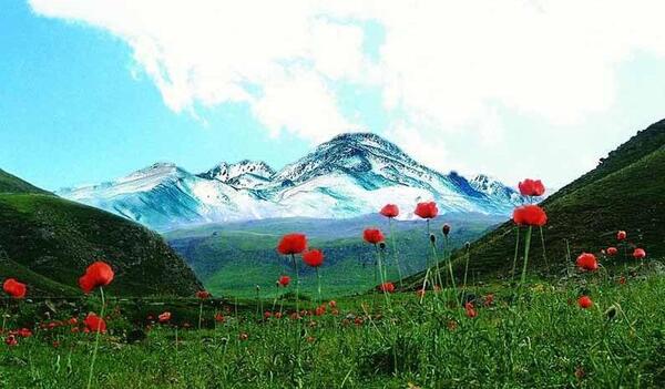 عکس کوه های زیبای ایران