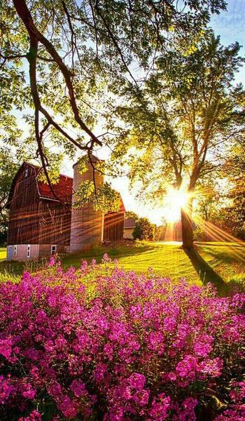 عکس های طبیعت خدا