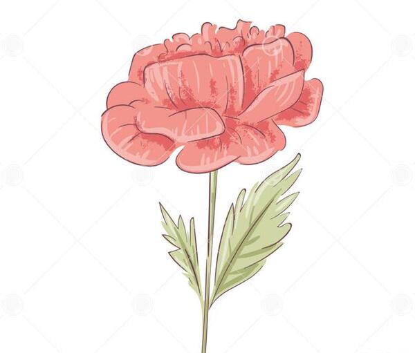 عکس گل فانتزی برای نقاشی