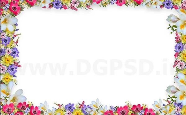 عکس گل گلی برای بک گراند