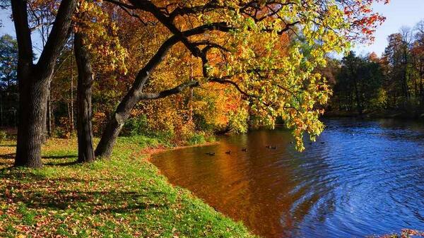 عکس طبیعت بکر برای پروفایل