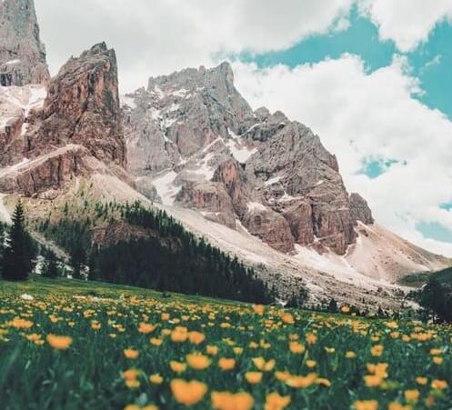 عکس طبیعت بکر برای پروفایل