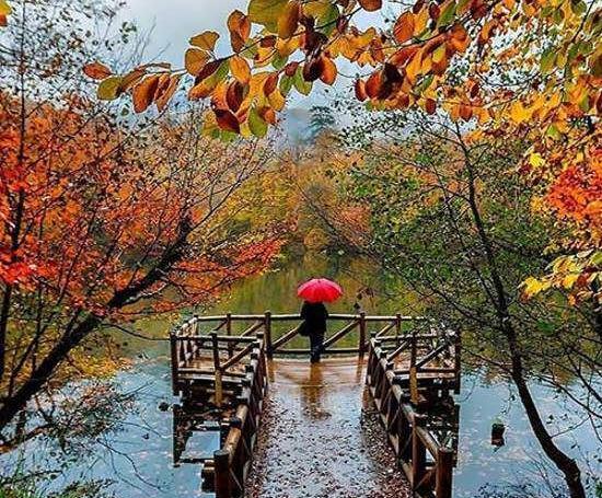 عکس طبیعت بکر برای پروفایل