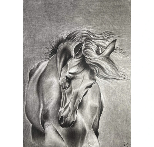 عکس اسب برای نقاشی ساده