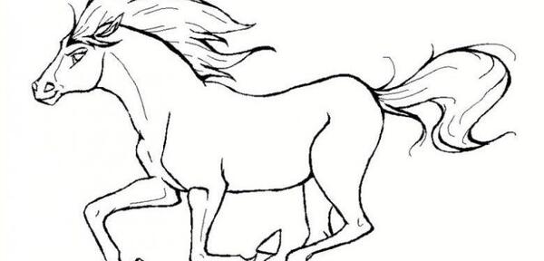 عکس اسب برای نقاشی ساده