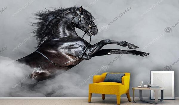 عکس اسب سیاه وحشی