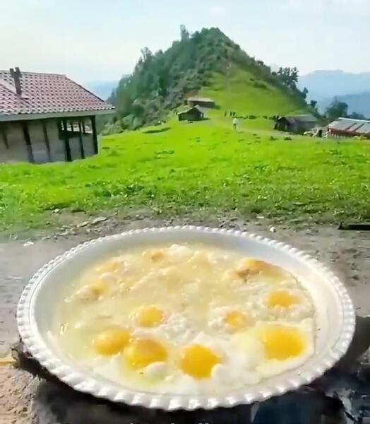 عکس از طبیعت صبح بخیر