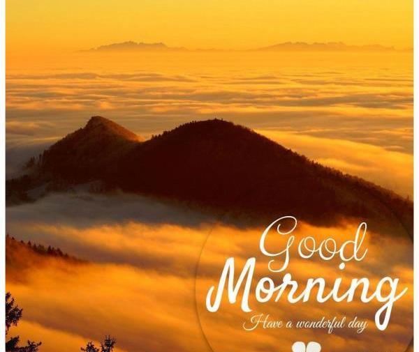 عکس از طبیعت صبح بخیر
