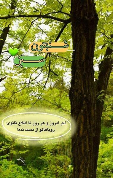 عکس از طبیعت صبح بخیر