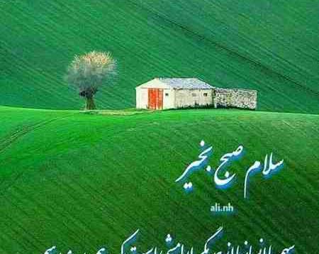 عکس از طبیعت صبح بخیر