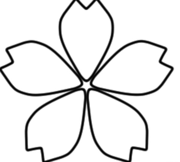 عکس گل برای طراحی ساده