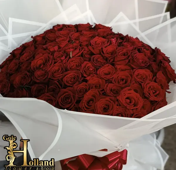 عکس گل قرمز بزرگ