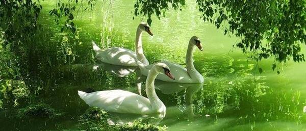 عکس از طبیعت زیبای جهان