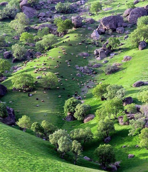 عکس هایی از طبیعت لرستان