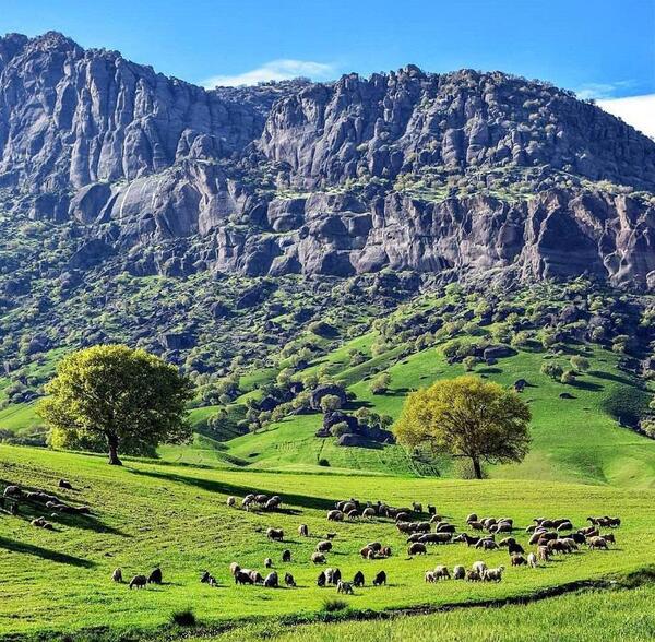 عکس هایی از طبیعت لرستان