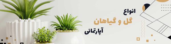 عکس گل و گیاه در خانه