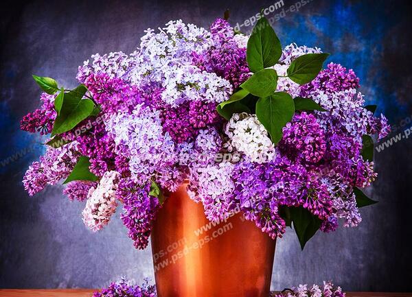 عکس گل و گلدان زیبا