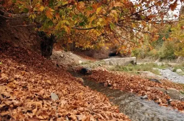 عکس از طبیعت بوژان نیشابور