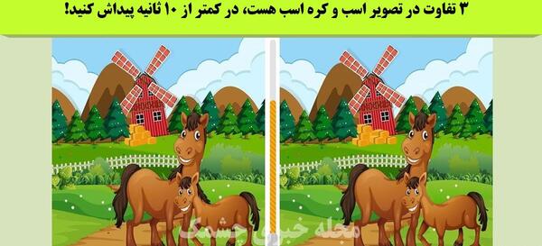 عکس اسب کره اسب