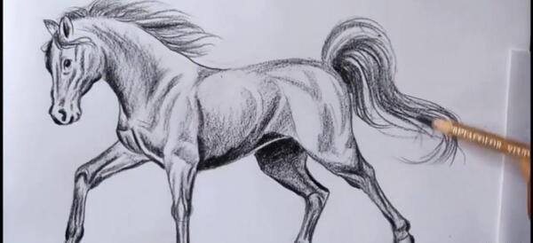 عکس اسب برای نقاشی سیاه قلم