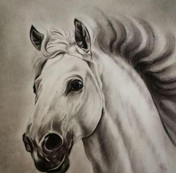 عکس اسب برای نقاشی سیاه قلم