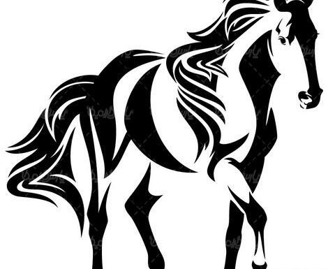 عکس اسب برای نقاشی سیاه قلم