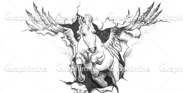 عکس اسب برای نقاشی سیاه قلم