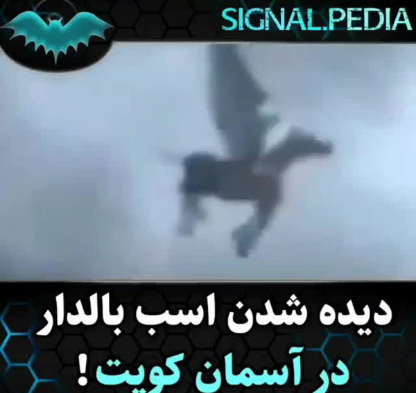 عکس اسب تک شاخ واقعی بالدار