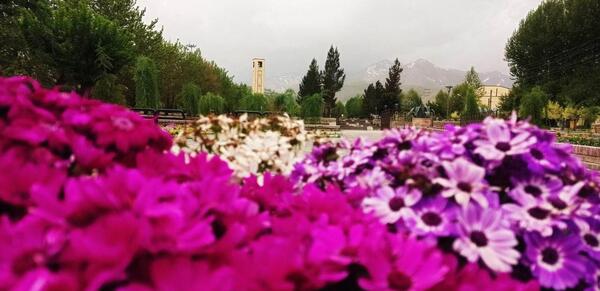 عکس های زیبای طبیعت بهار