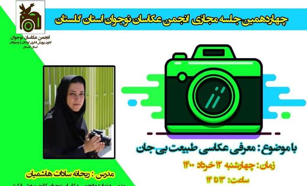 عکس طبیعت بی جان