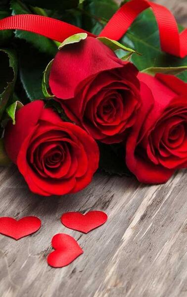 عکس گل رز برای پروفایل اینستا