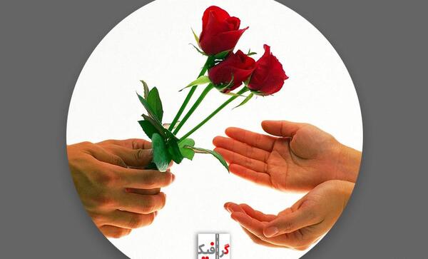 عکس گل رز برای پروفایل اینستا