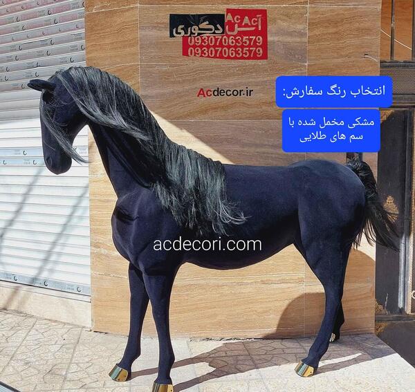 عکس اسب مشکی بزرگ